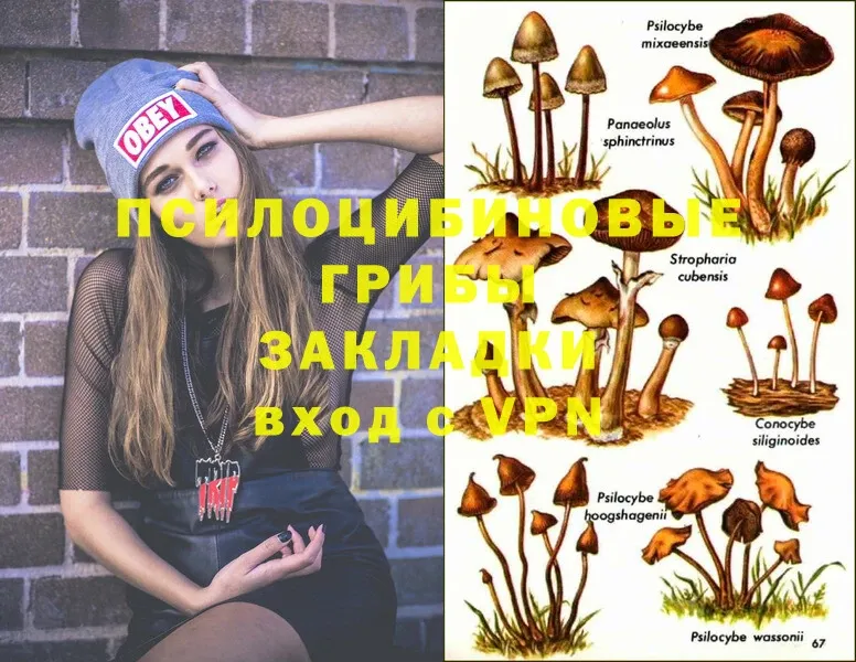 Галлюциногенные грибы MAGIC MUSHROOMS  купить закладку  МЕГА как войти  Северо-Курильск 